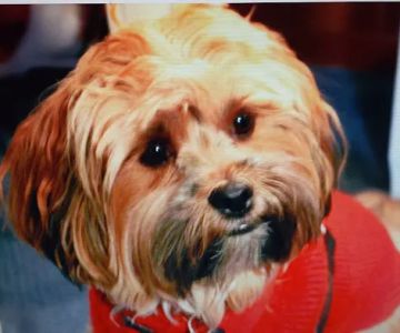 Mariners Mile Pet Clinic