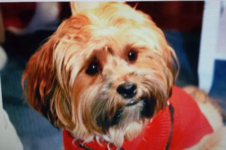 Mariners Mile Pet Clinic
