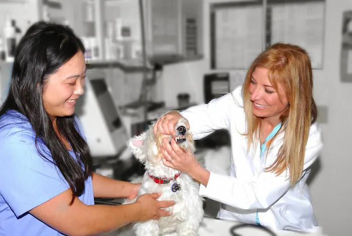 Mariners Mile Pet Clinic 12