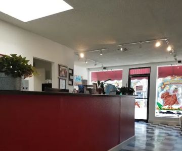 Lido Animal Hospital