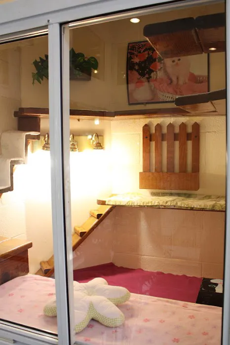 Newport Center Animal Hospital & Pet Hotel Suites 12