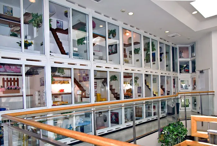 Newport Center Animal Hospital & Pet Hotel Suites 12