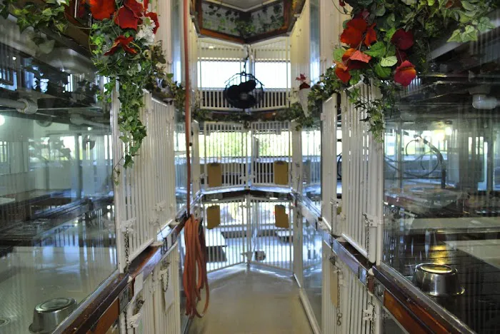 Newport Center Animal Hospital & Pet Hotel Suites 12