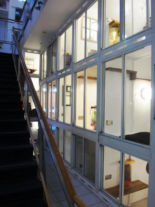 Newport Center Animal Hospital & Pet Hotel Suites 12