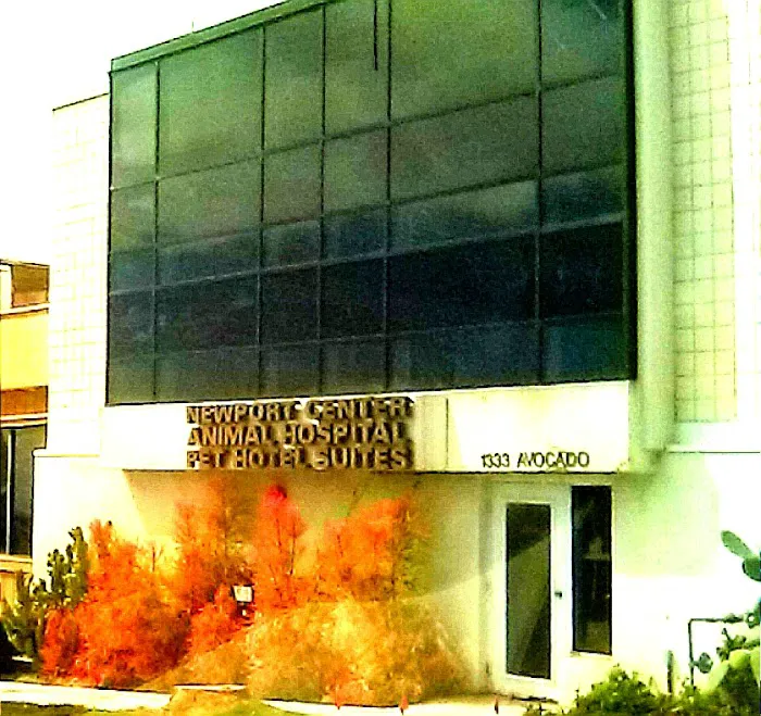 Newport Center Animal Hospital & Pet Hotel Suites 12