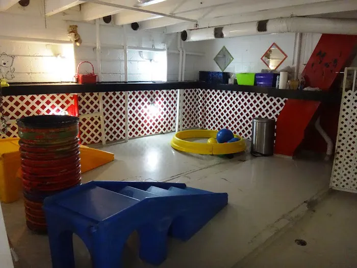 Newport Center Animal Hospital & Pet Hotel Suites 12