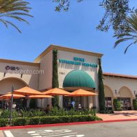 VCA Irvine North Park Animal Hospital ico