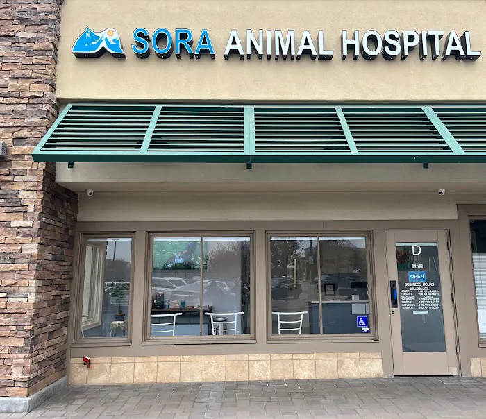 Sora Animal Hospital 12