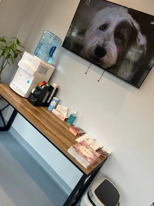 Sora Animal Hospital 12