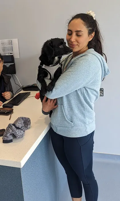 Sora Animal Hospital 12