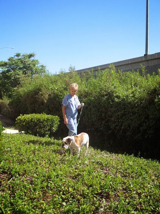 Animal Hospital of Irvine 12