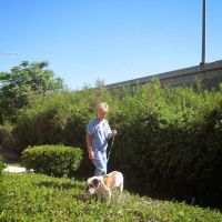 Animal Hospital of Irvine ico