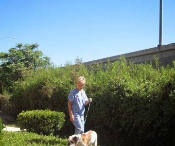 Animal Hospital of Irvine