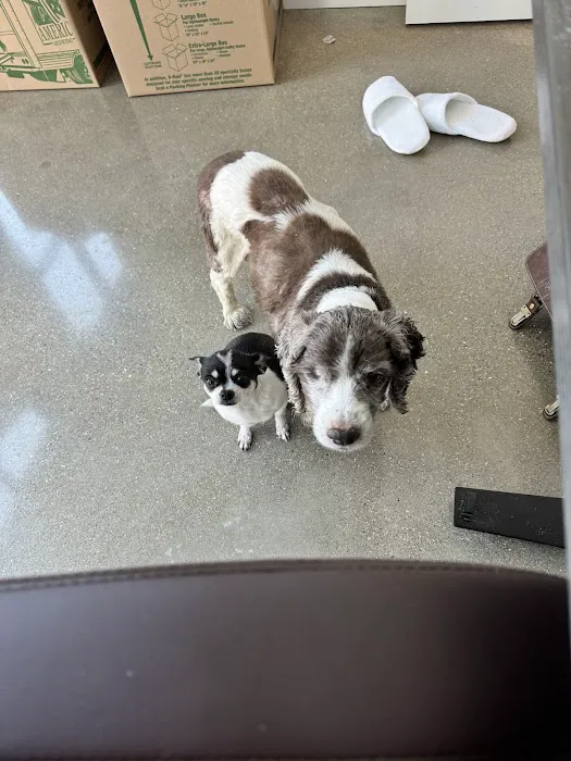 Stonecreek Animal Hospital 12