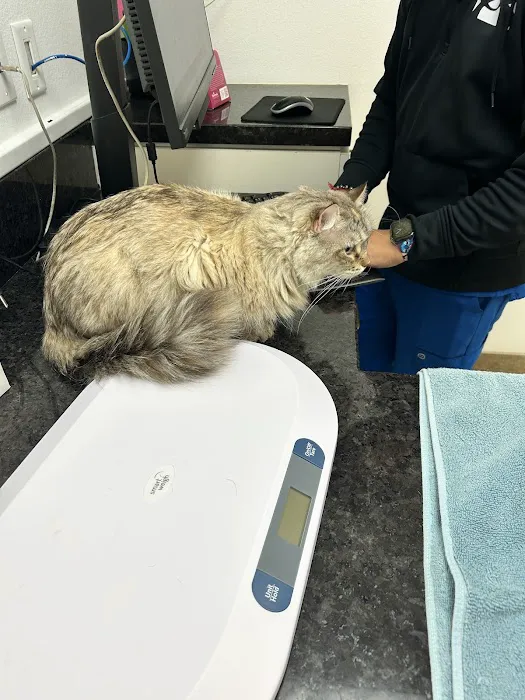 Stonecreek Animal Hospital 12