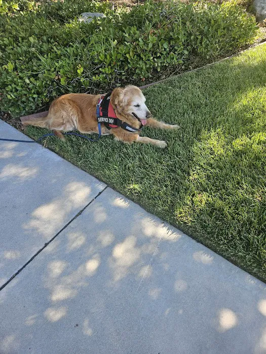 Stonecreek Animal Hospital 12