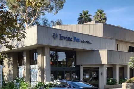 Irvine Pet Hospital