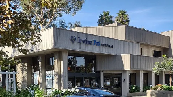 Irvine Pet Hospital 12