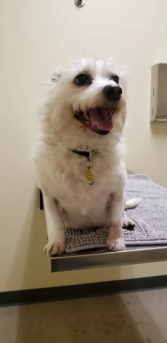 Vetco Total Care Animal Hospital 2