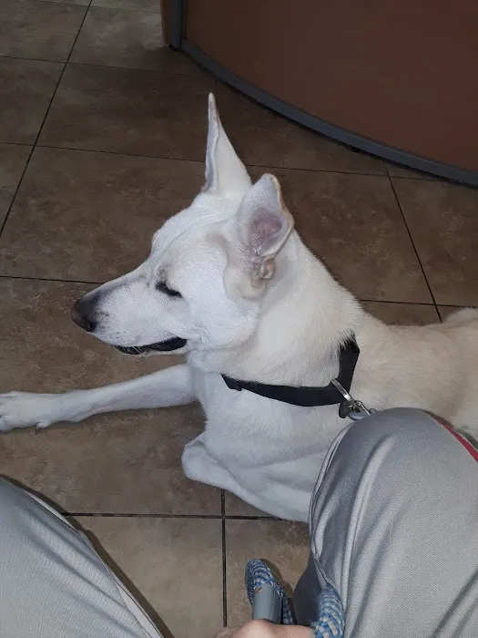 California Veterinary Hospital 12