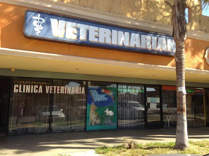 Florence Pet Clinic 12