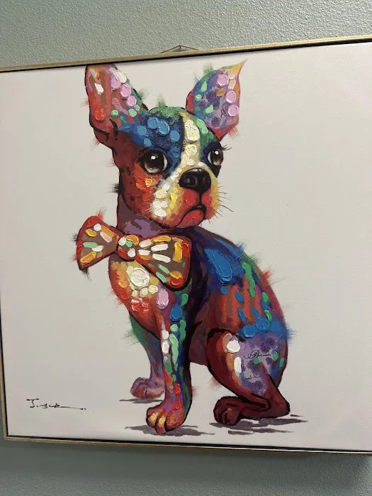 Huntington Park Dog & Cat Clinic 12