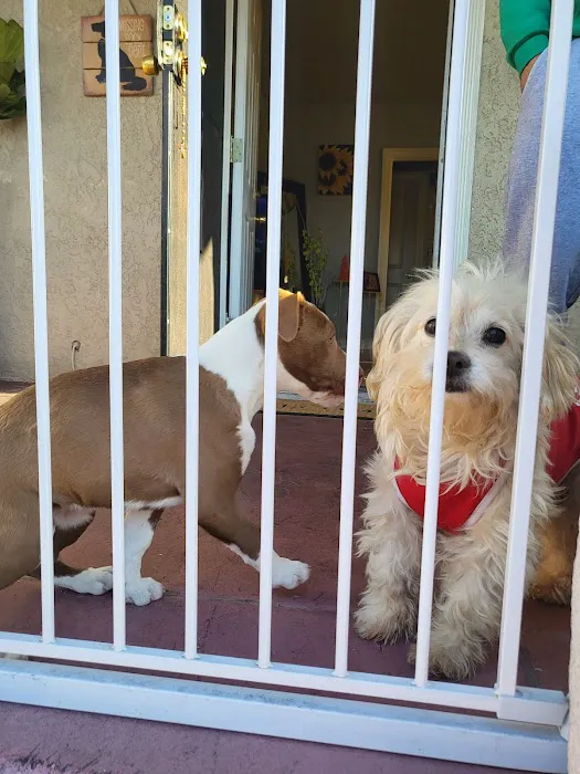 Huntington Park Dog & Cat Clinic 12