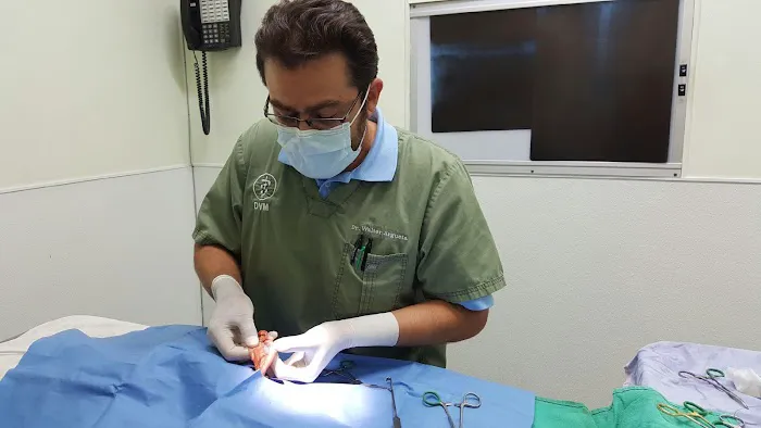 American Veterinary Services 12