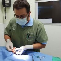 American Veterinary Services ico