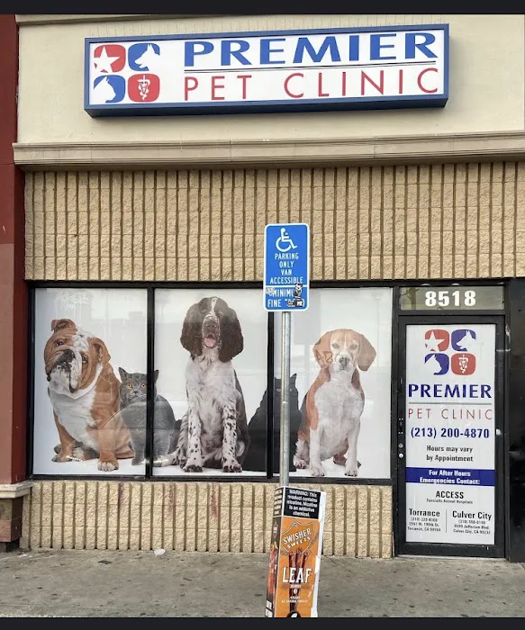 American Veterinary Services 12