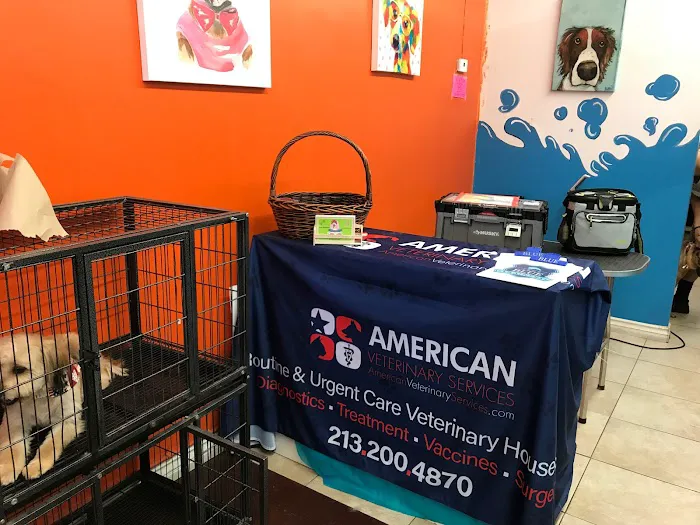 American Veterinary Services 12