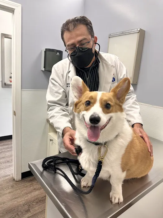 American Veterinary Services 12