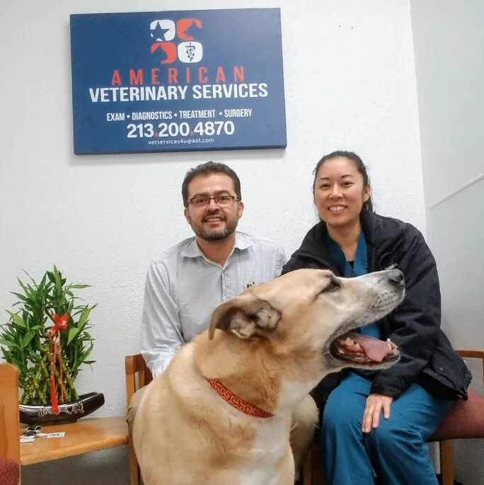 American Veterinary Services 12