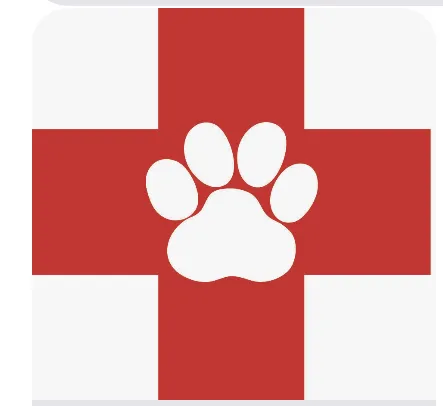 Pet Clinic 12