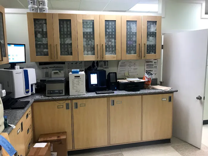 Pet Clinic 12