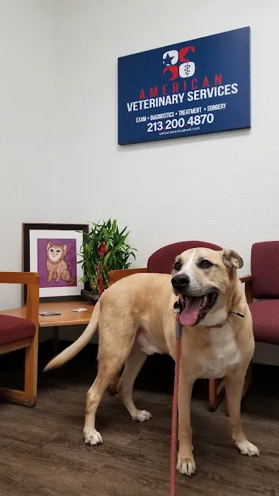 Pet Clinic 12
