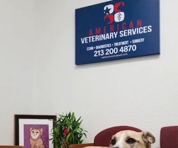 Pet Clinic