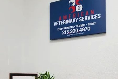Pet Clinic