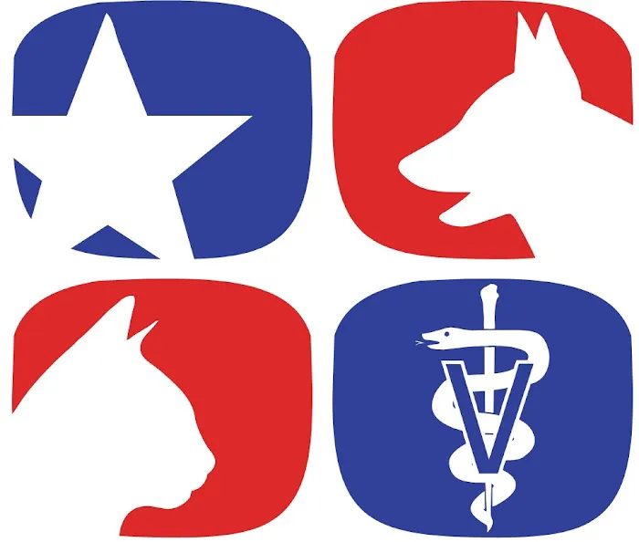 Pet Clinic 12