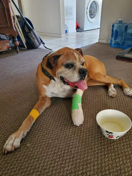 St Francis Animal Hospital 3