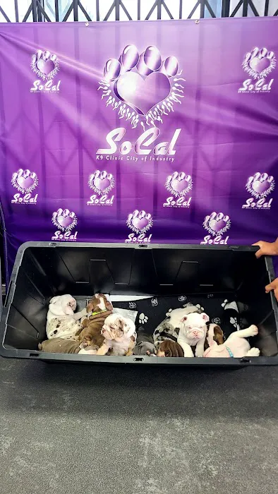 SoCal K9 Clinic City of Industry 12