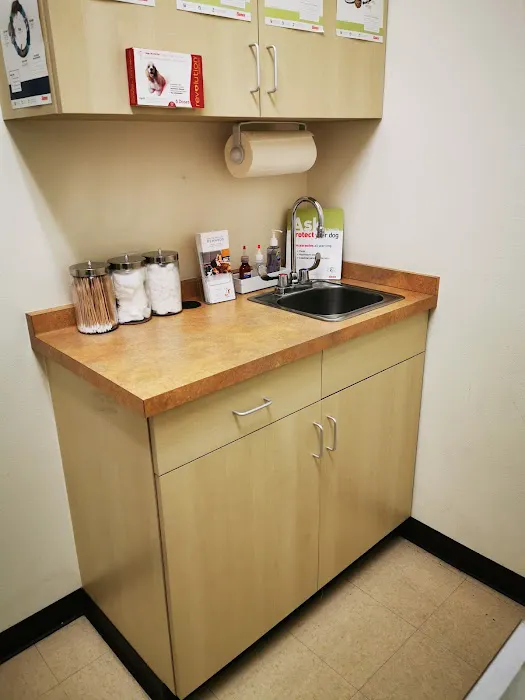 Arc Animal Hospital 4