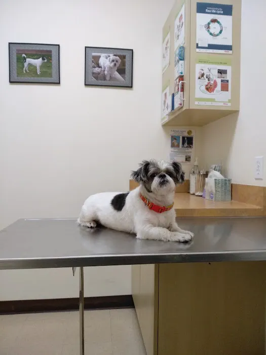 Arc Animal Hospital 3