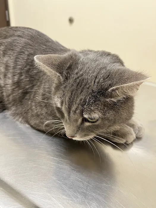 Arc Animal Hospital 6
