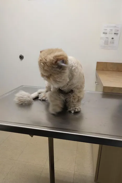 Arc Animal Hospital 10