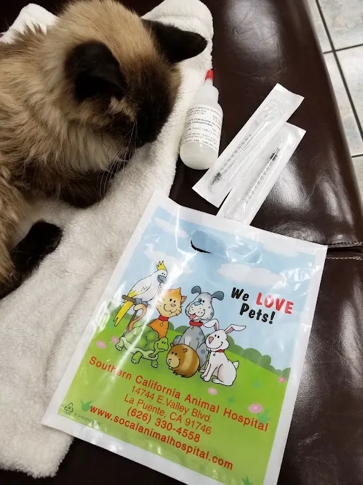 Southern California Animal Hospital 12