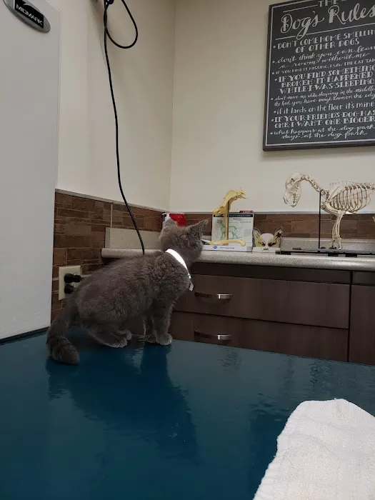 Southern California Animal Hospital 12