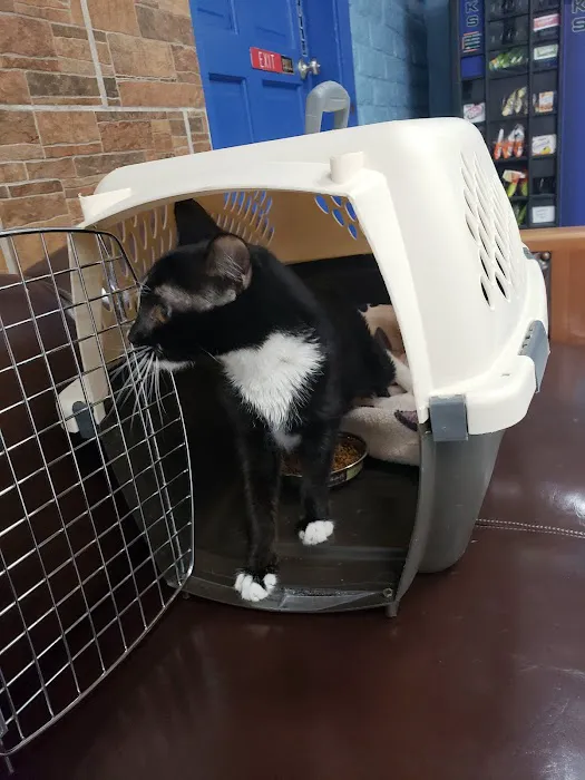 Southern California Animal Hospital 12