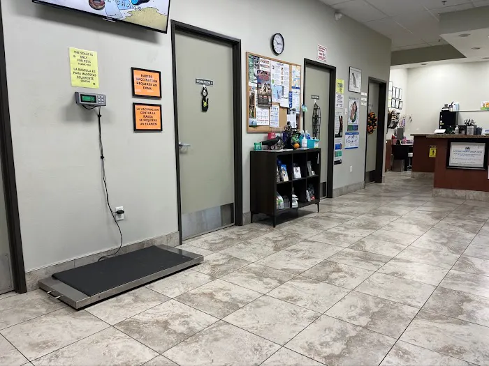 Amar Glen Veterinary Hospital 3