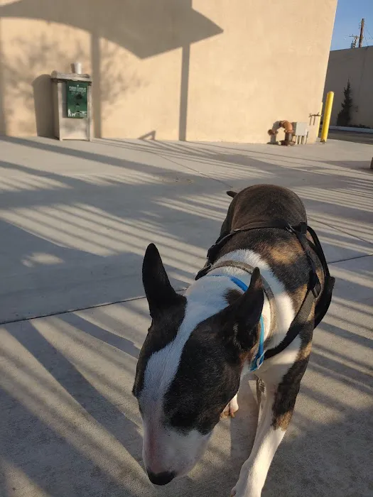Amar Glen Veterinary Hospital 7